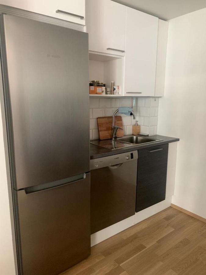 Modern One Bedroom Apartment Nearby Airport ヴァンター エクステリア 写真