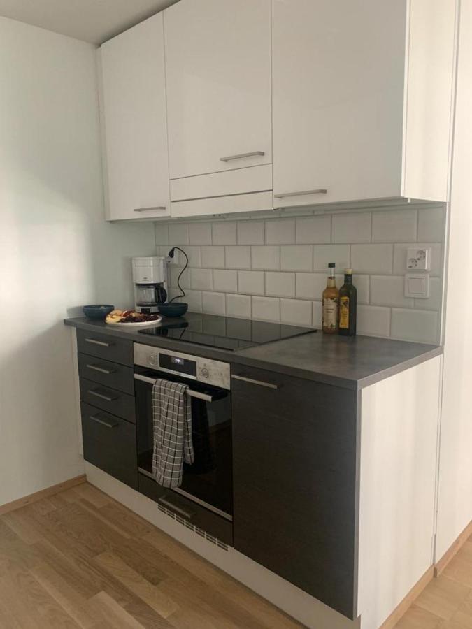 Modern One Bedroom Apartment Nearby Airport ヴァンター エクステリア 写真